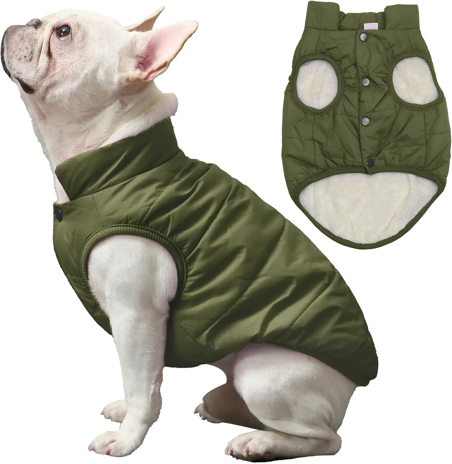 2 Layers Fleece Lined Warm Dog Jacket for Winter Cold Weather,Soft Windproof Medium Dog Coat,Green L