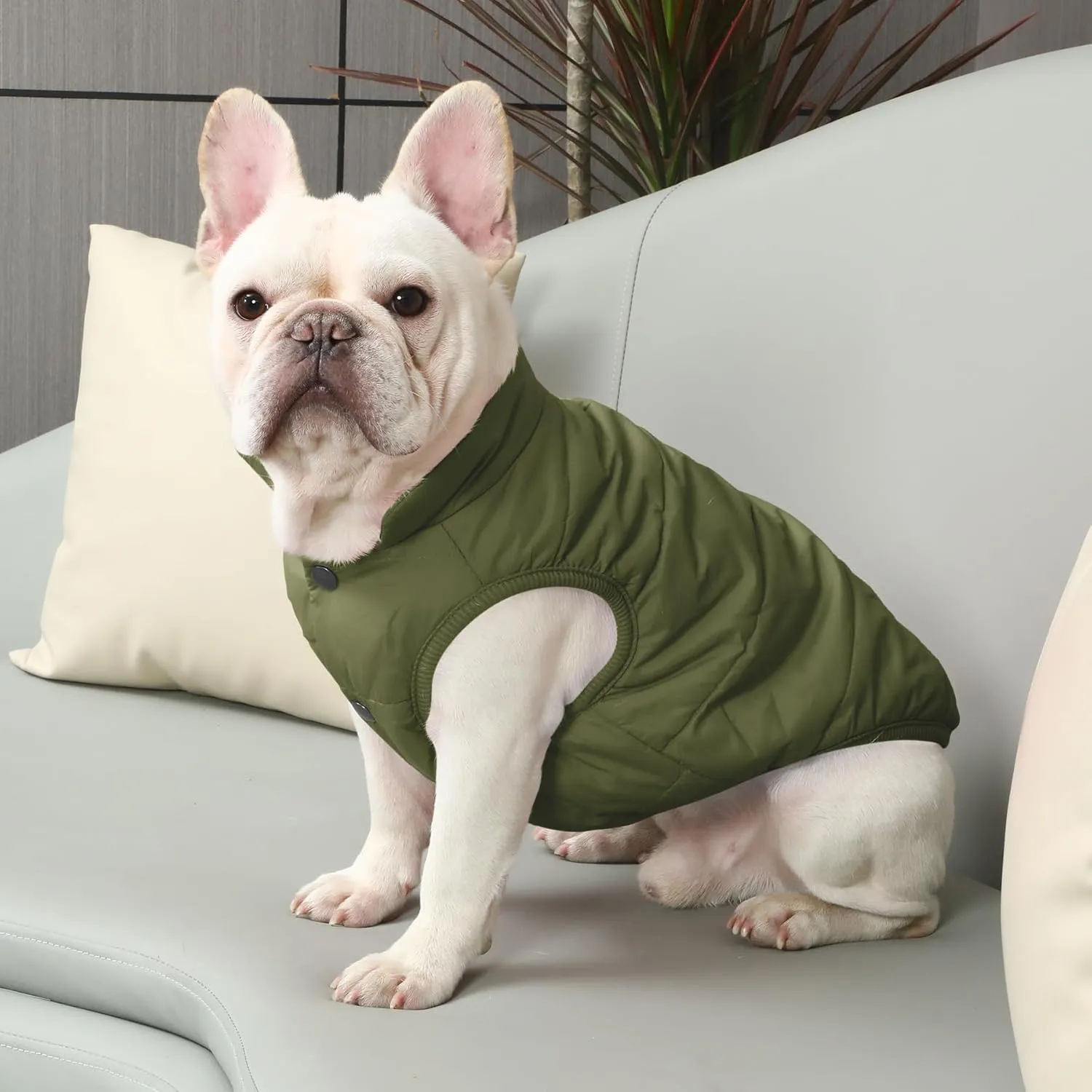 2 Layers Fleece Lined Warm Dog Jacket for Winter Cold Weather,Soft Windproof Medium Dog Coat,Green L