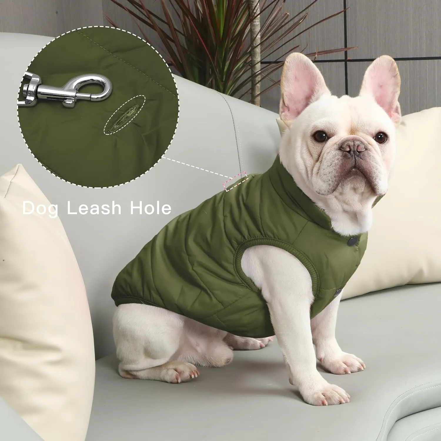 2 Layers Fleece Lined Warm Dog Jacket for Winter Cold Weather,Soft Windproof Medium Dog Coat,Green L