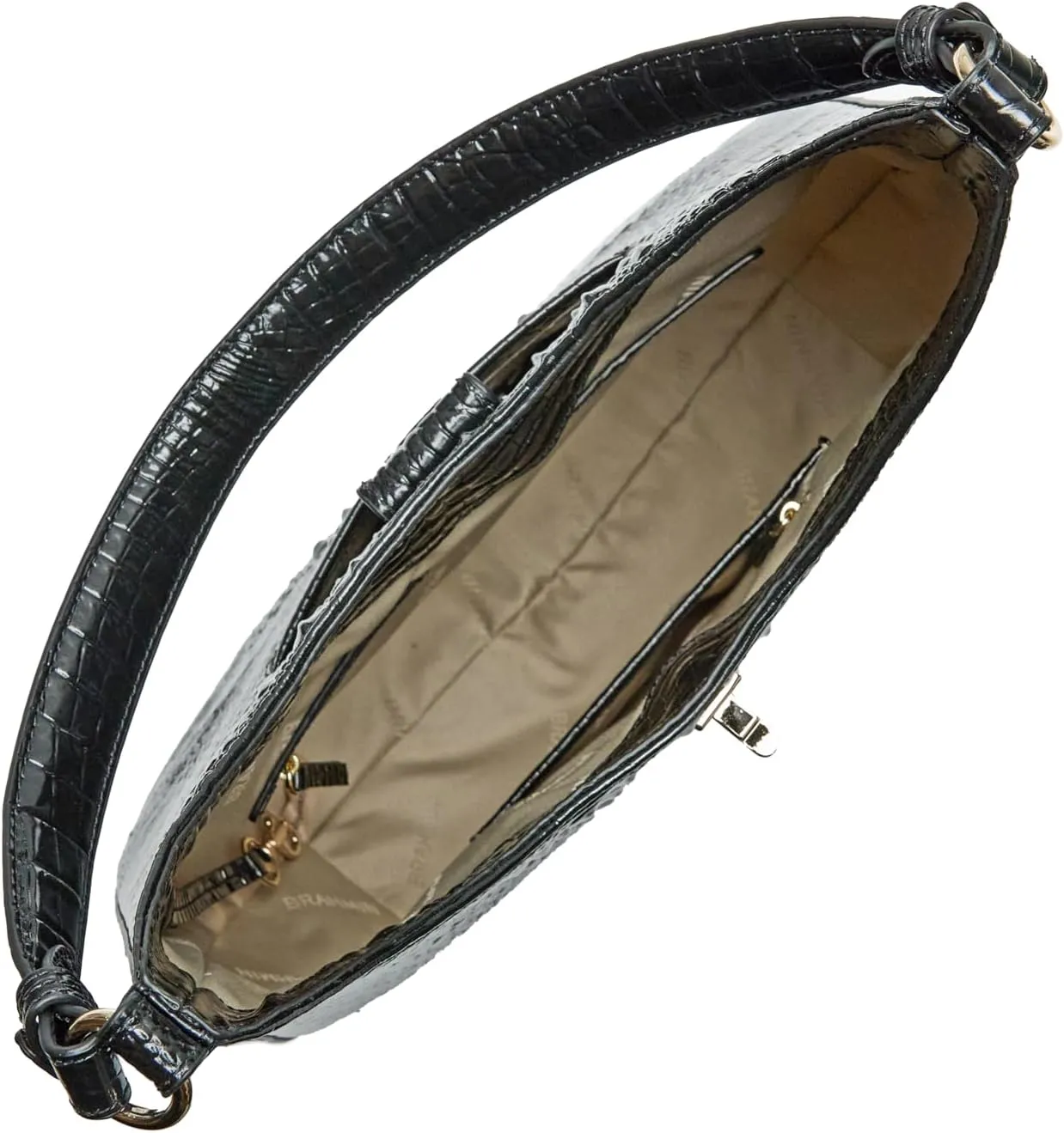 BRAHMIN Fallon