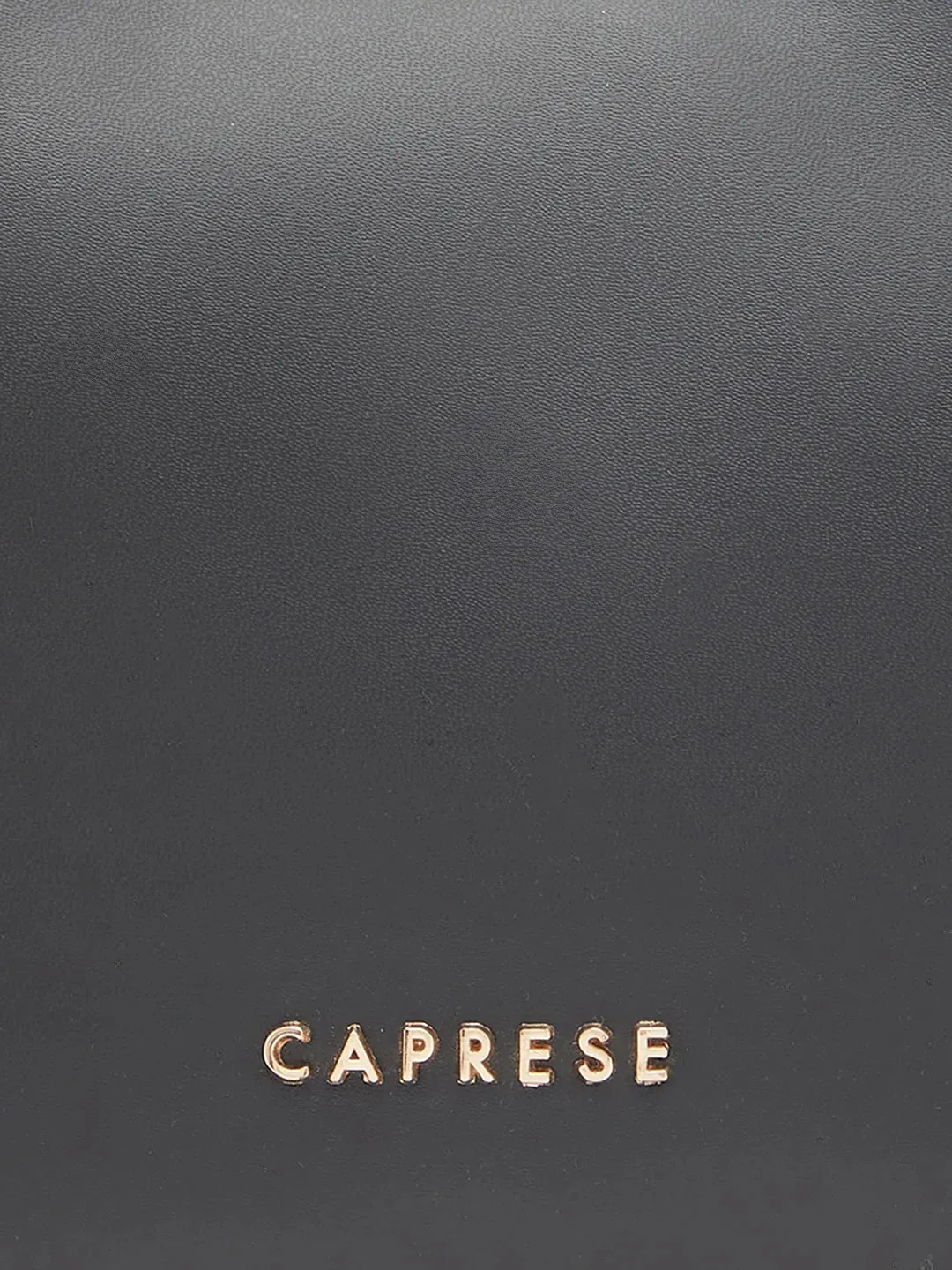 Caprese Olbia Medium Black Hobo Bag