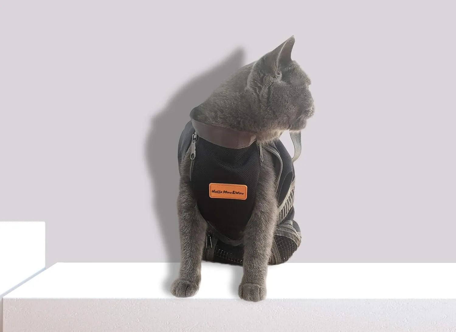 Cinf Cat Nail Clipping Cleaning Grooming Restraint Bag No Scratching Biting for Bathing Nail Trimming Injecting Examining(Black,S)