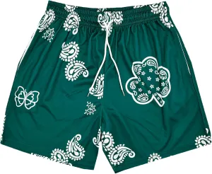 DIOTSR Mens Paisley Graphic Shorts Athletic Basketball Bandana Shorts Running Streetwear Y2k Drawstring Waist