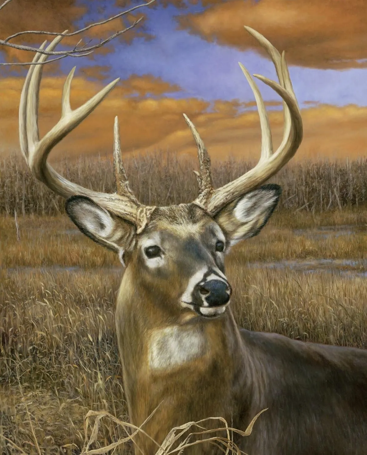 FlashPhoenix Quality Sewing Fabric – Fall Spendor Deer Buck Panel Animal Scenic Digital Cotton 35.5" X 44" Panel