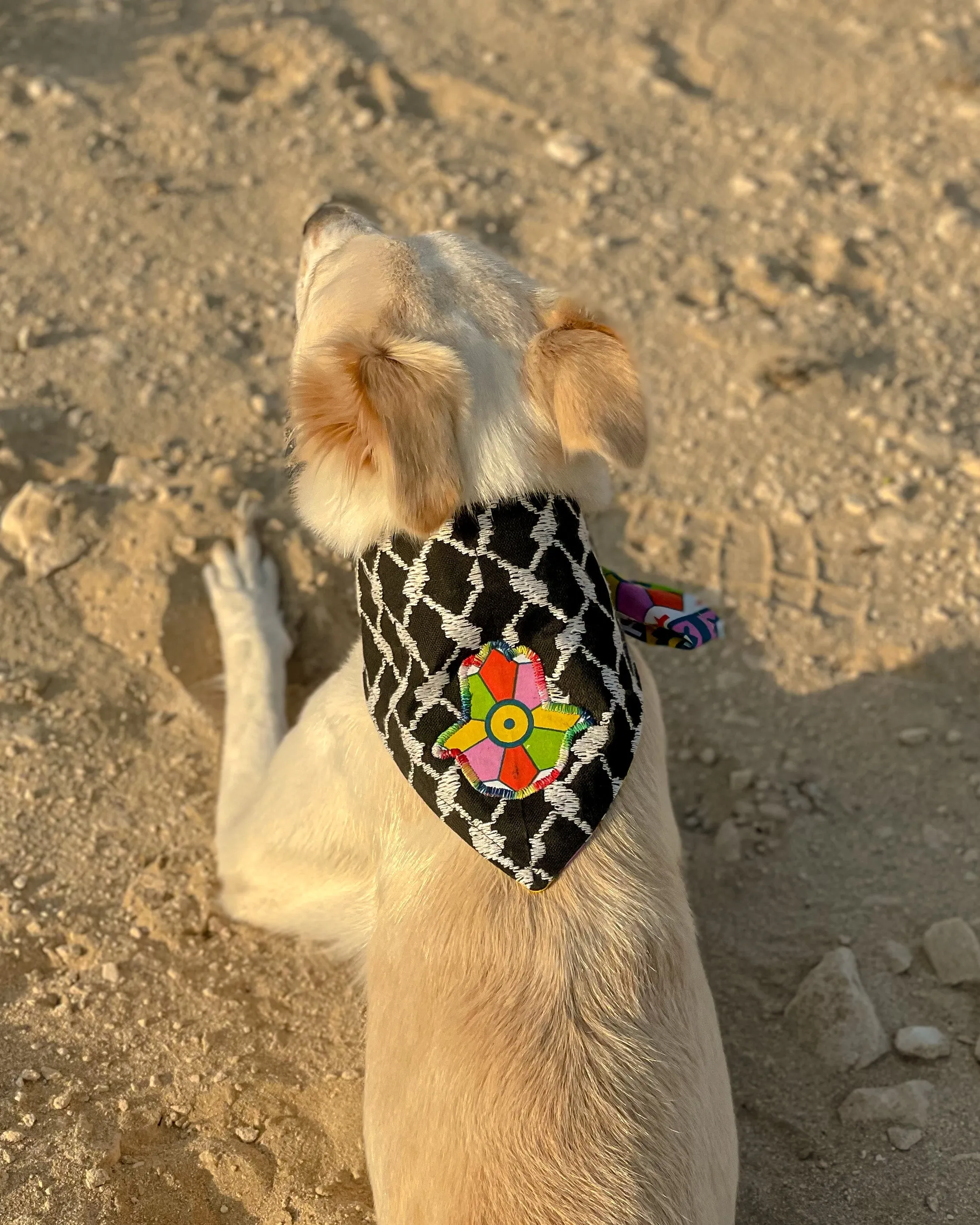 Khamsa Doggy Bandana