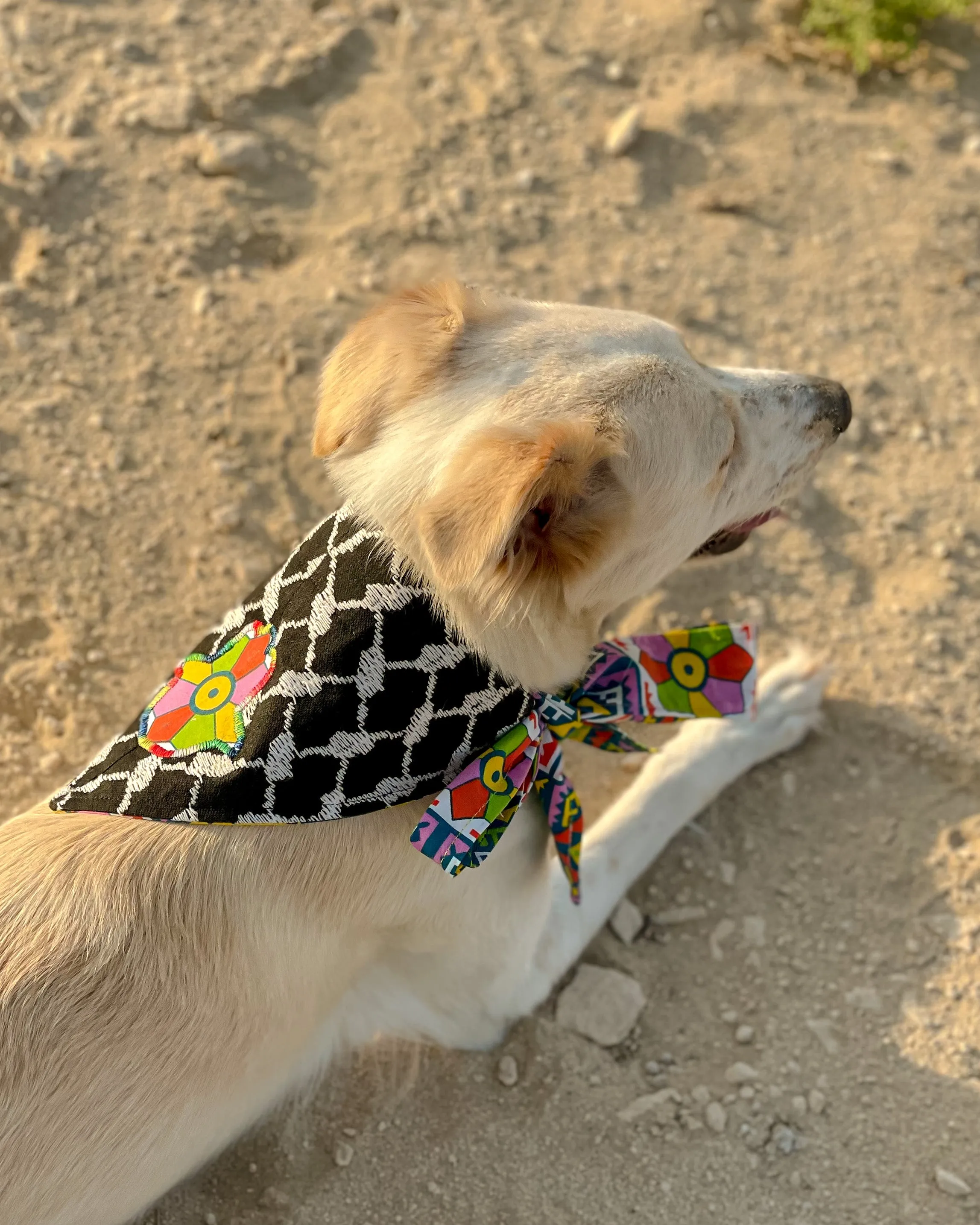 Khamsa Doggy Bandana