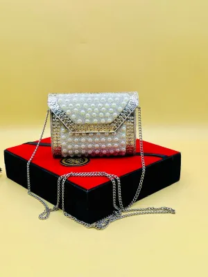 Mother of Pearl Silver Metal Bag