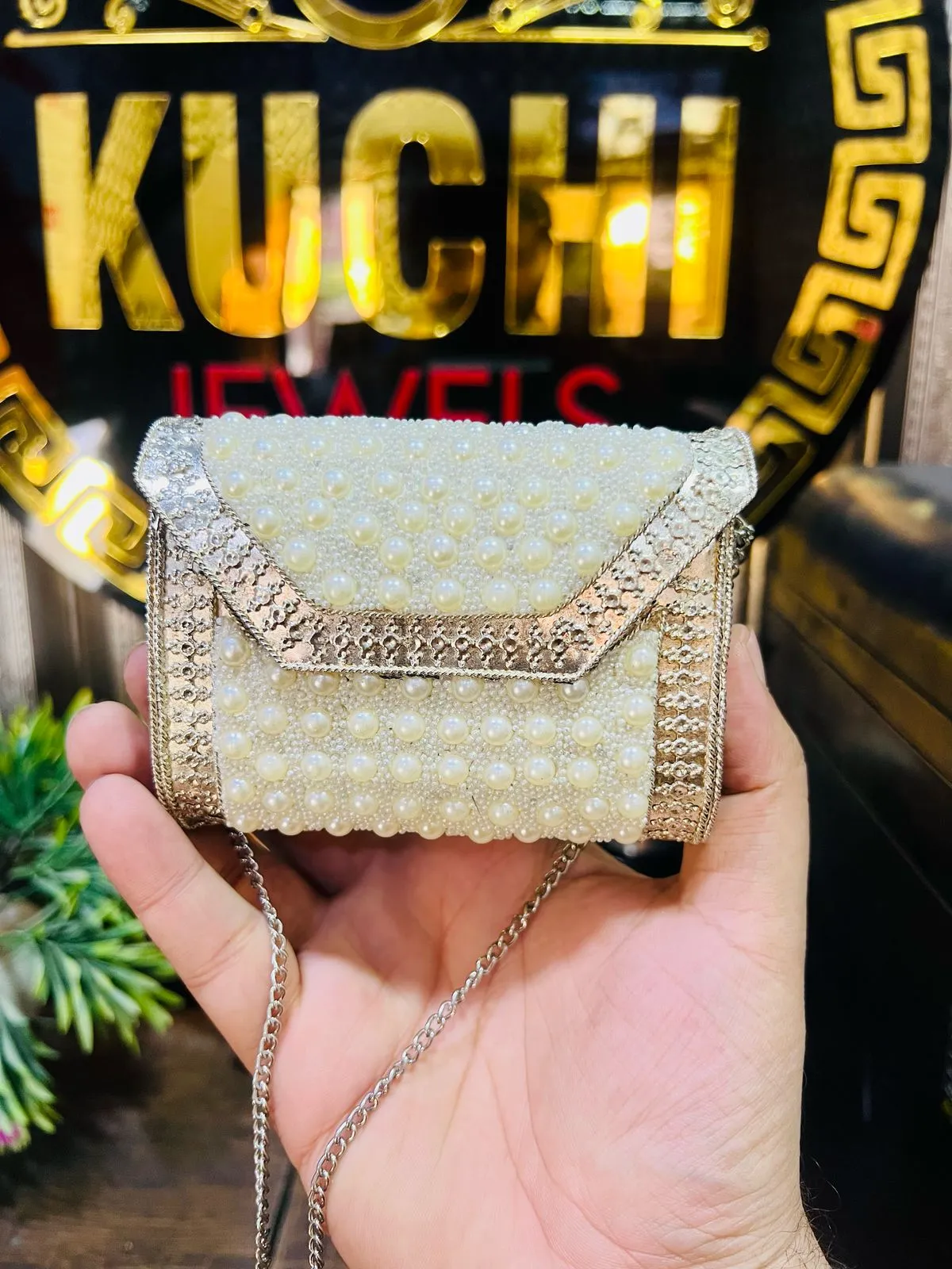 Mother of Pearl Silver Metal Bag