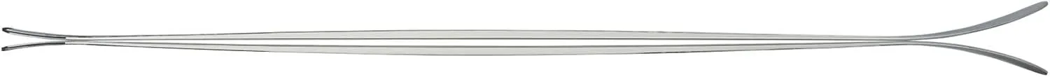 Nordica Santa Ana 84 Skis 2024 - Men's
