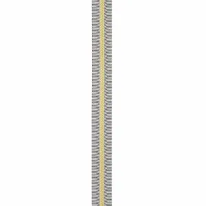 Sallie Tomato Zipper - 3 Yds with 9 Pulls - Black/White Stripe Gold Coil